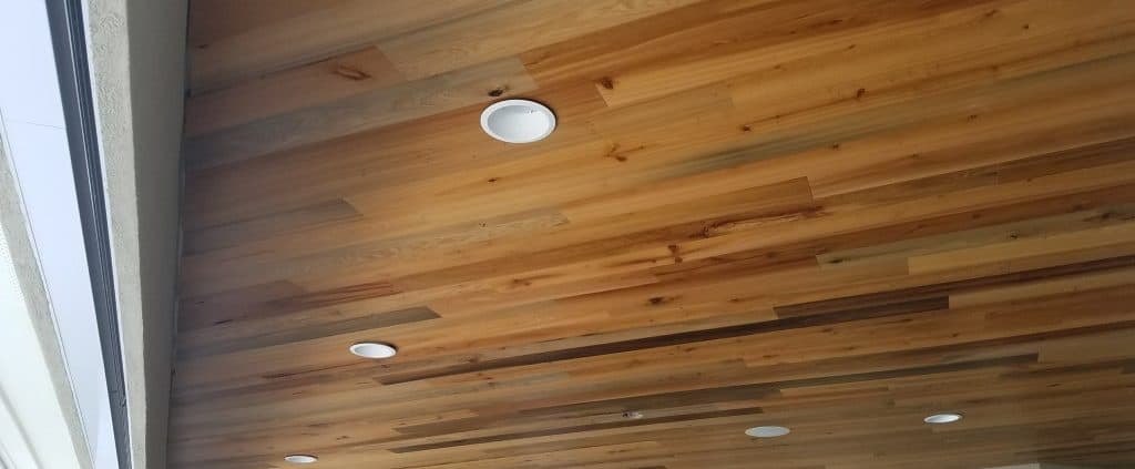 Heart Cypress – Perfect for Patios, Too!