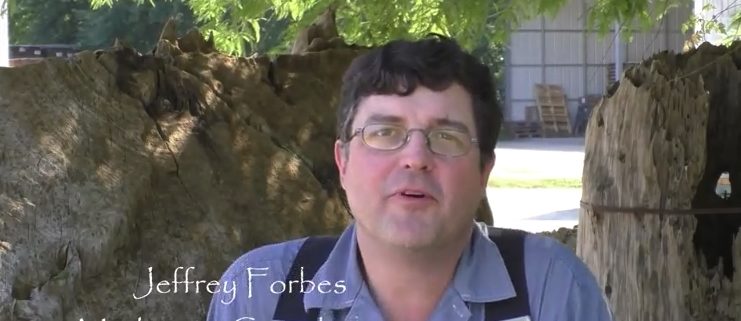 Sinker Cypress – The Gentle Giants of the South Part Three