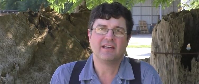 Sinker Cypress – The Gentle Giants of the South Part Two