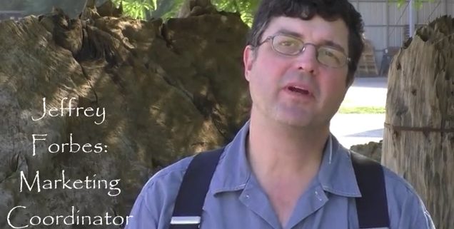 Sinker Cypress – The Gentle Giants of the South Part One