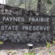 Preserving a Prairie