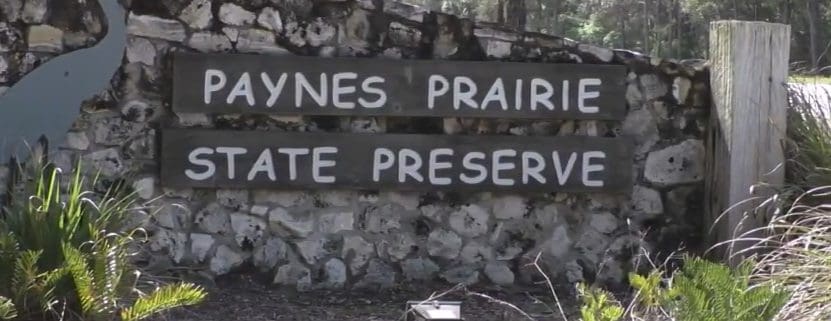 Preserving a Prairie