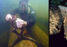 Introduction to Goodwin