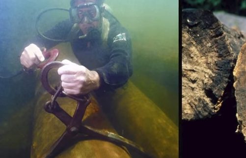 Introduction to Goodwin