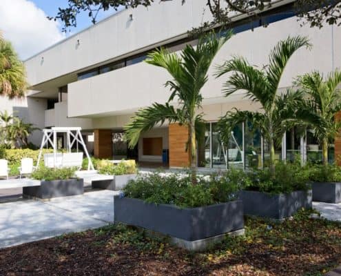 USF The Edge - Antique Woood