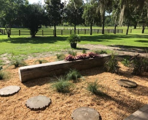 Uh Oh…What to do When Life Gives You Lemons, or a Hollow Log!