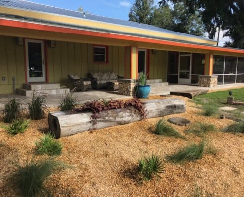 Uh Oh…What to do When Life Gives You Lemons, or a Hollow Log!