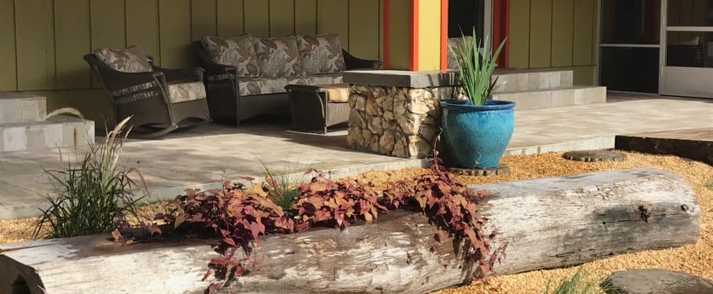 Uh Oh…What to do When Life Gives You Lemons, or a Hollow Log!