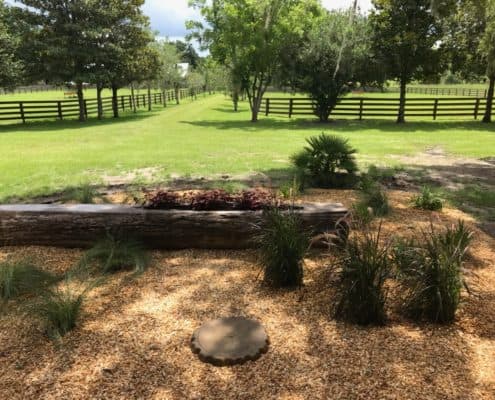 Uh Oh…What to do When Life Gives You Lemons, or a Hollow Log!