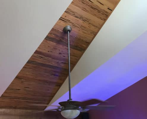 Sinker Cypress Here, There and Everywhere!