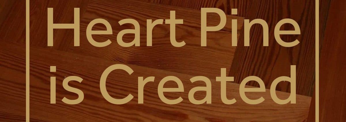 Heart Pine