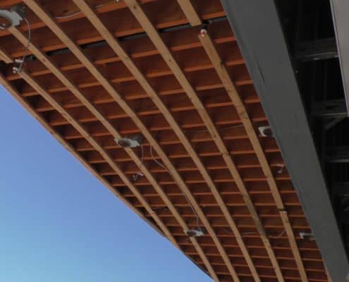 Heart Cypress is Focal Point of the New Sandra Stetson Aquatic Center