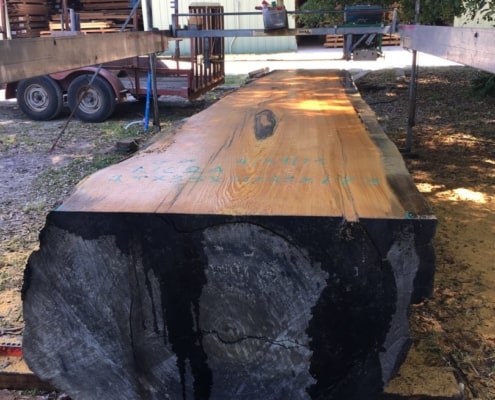 Florida Crotchwood Visits Goodwin