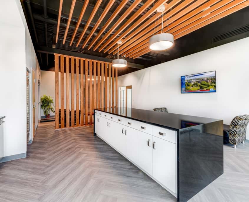 Wild Black Cherry – A Wise Investment