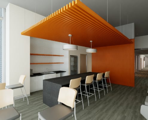 Wild Black Cherry – A Wise Investment