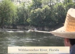 Goodwin Company (Material Bank)