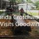 Visit from Florida Crotchwood!