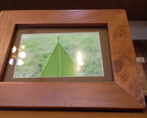 Picture Perfect Picture Perfect