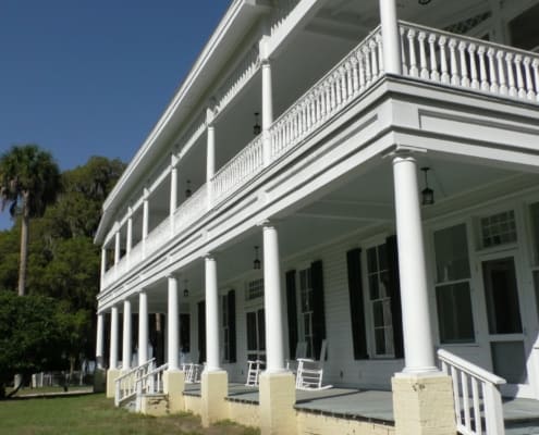 The Timeless Beauty of Old Growth Longleaf