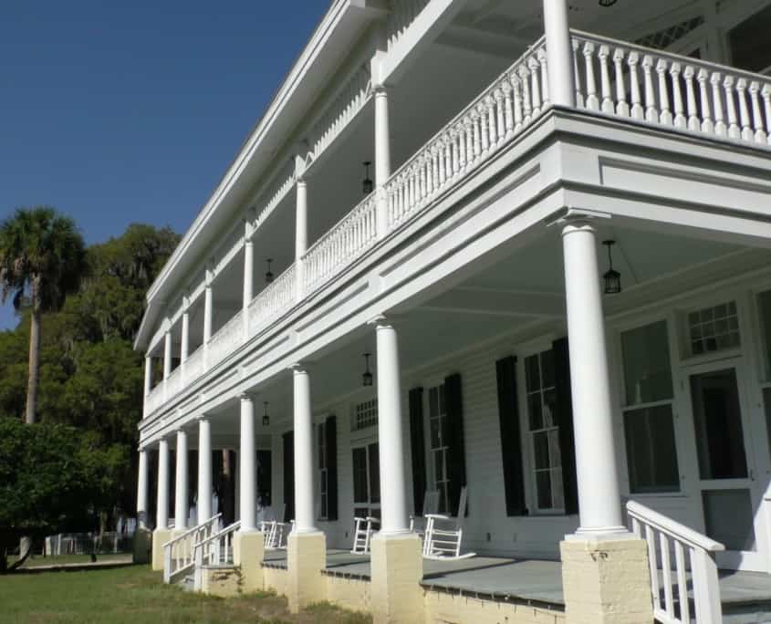 The Timeless Beauty of Old Growth Longleaf
