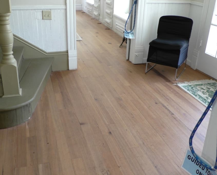 The Timeless Beauty of Old Growth Longleaf