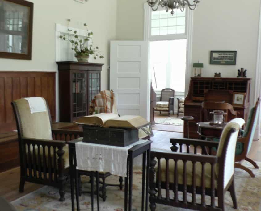 The Timeless Beauty of Old Growth Longleaf