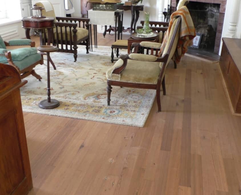 The Timeless Beauty of Old Growth Longleaf