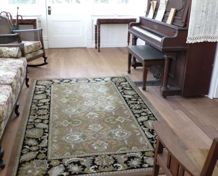 The Timeless Beauty of Old Growth Longleaf