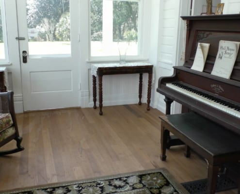 The Timeless Beauty of Old Growth Longleaf