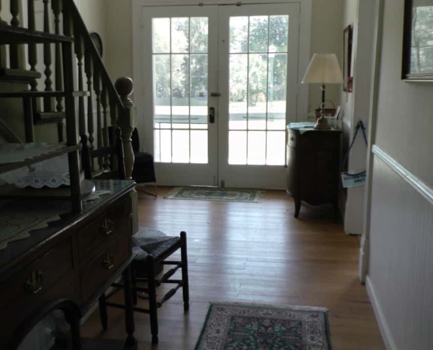 The Timeless Beauty of Old Growth Longleaf