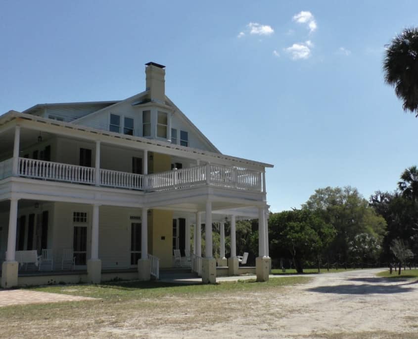 The Timeless Beauty of Old Growth Longleaf
