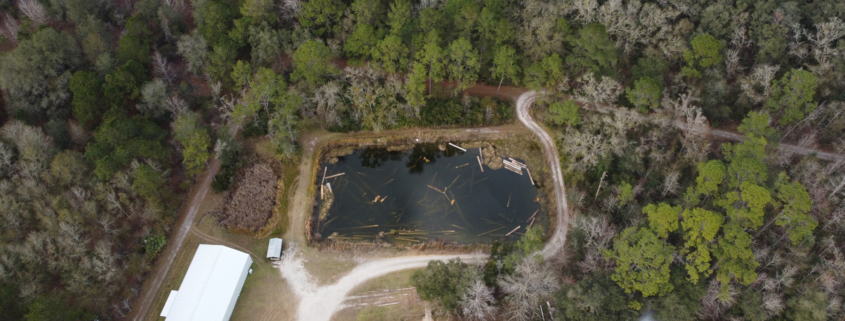 Goodwin-Company-Log-Pond