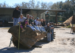 Giant Sinker Cypress Log