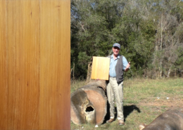 Faces of Heart Cypress Video Thumbnail